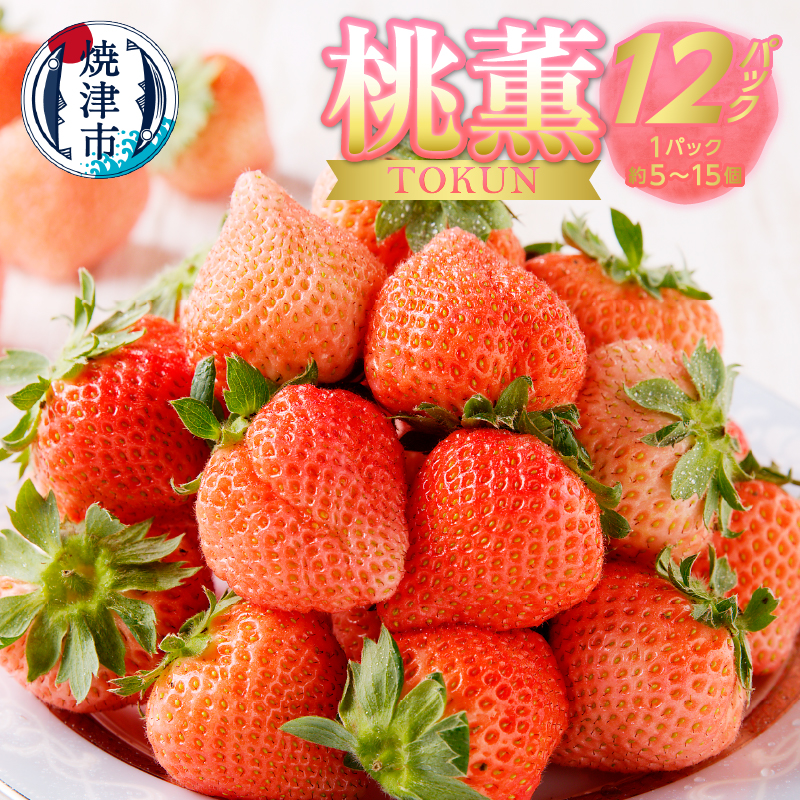 a30-224　いちご希少品種「桃薫」～桃の香り＆食感12パック～