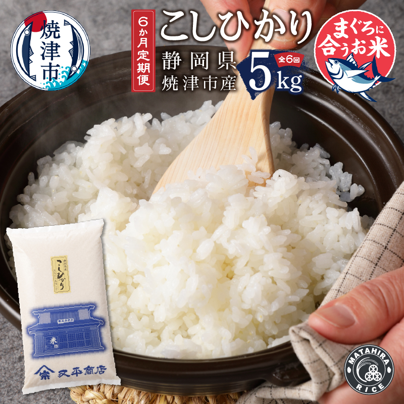 a60-010　定期便6回 マグロに合う焼津のお米 こしひかり 5kg【定期便】
