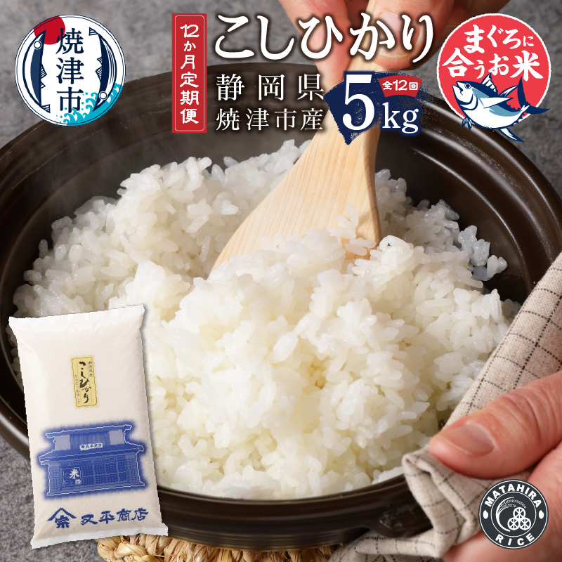 b12-022　定期便12回 マグロに合う焼津のお米 こしひかり 5kg 【定期便】