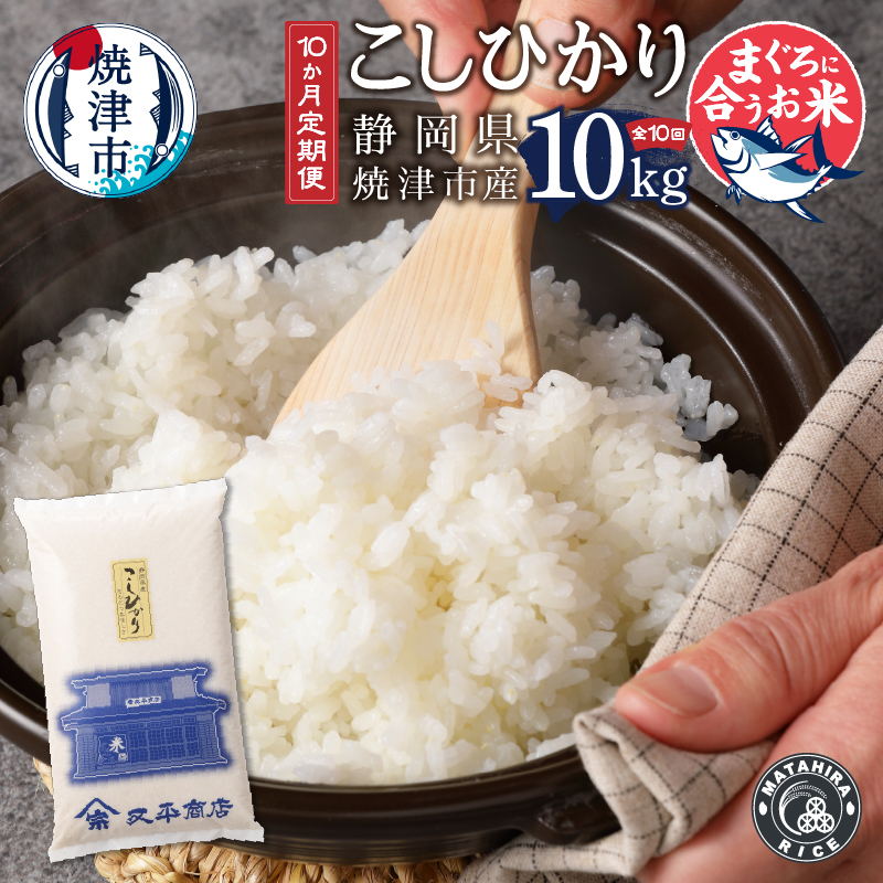 b15-028　定期便10回 令和5年産新米 マグロに合う焼津のお米 こしひかり 10kg【定期便】
