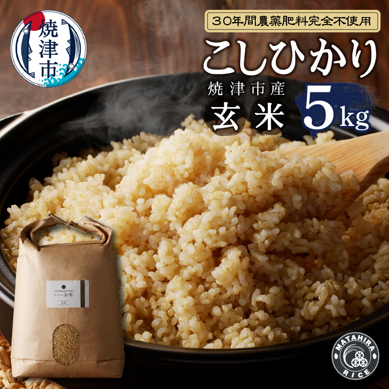 a21-038　令和5年産新米 30年間無農薬・無肥料のお米（玄米）コシヒカリ5kg